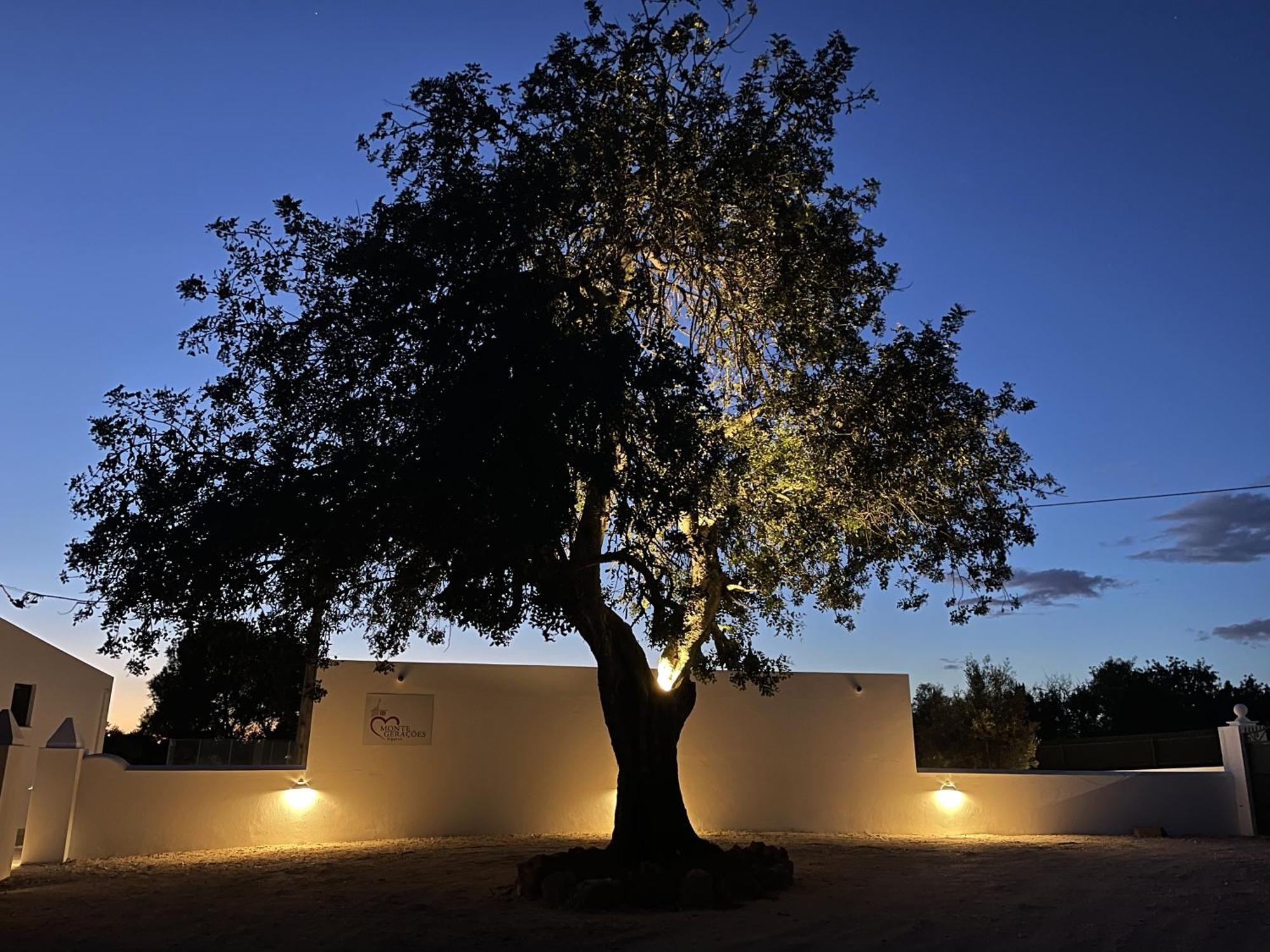 Monte Geracoes - Heated Pool - Typical Algarvian - Close To Quinta Lago, Vale Lobo And Vilamoura Almancil Esterno foto